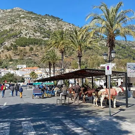 Higueronrentals Afrika * Malaga